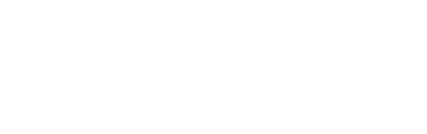 Income Screen logo